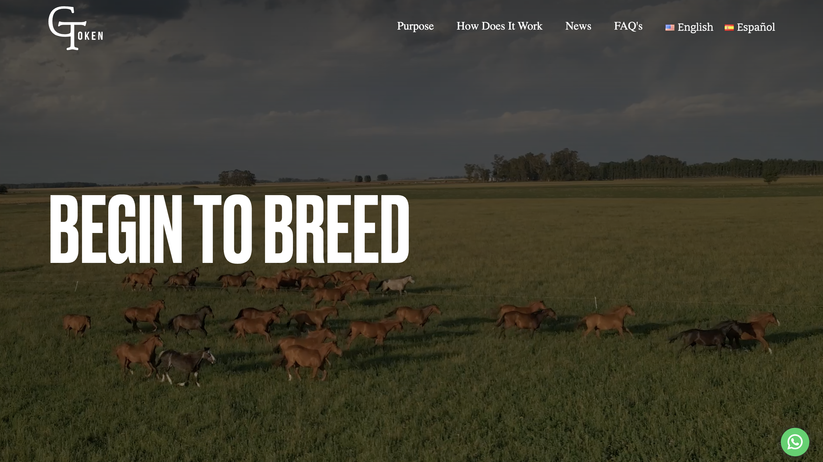 GToken tokenized racing horses