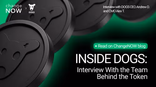 Interview with DOGS team  
